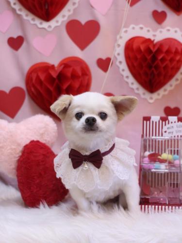 20240216風太くん